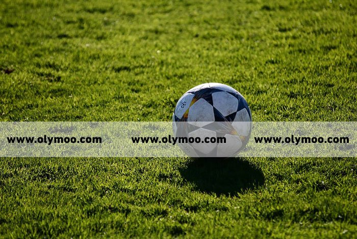 تجهيز ملاعب