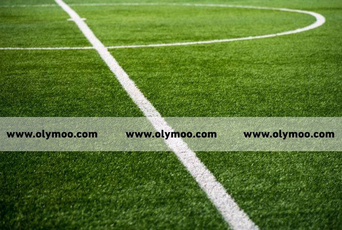 شركة تجهيز ملاعب