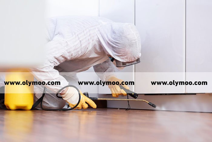 شركة مبيدات حشرية بالكويت