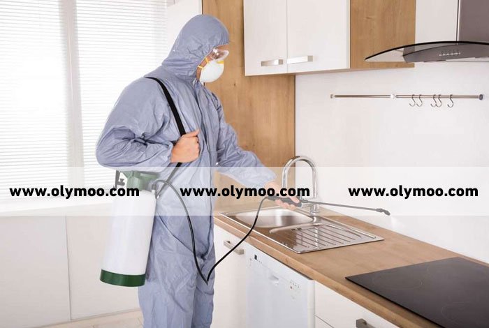 افضل شركة مكافحة حشرات في عجمان
