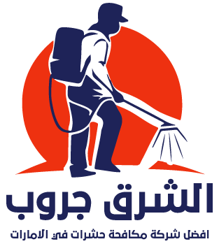 الشرق جروب