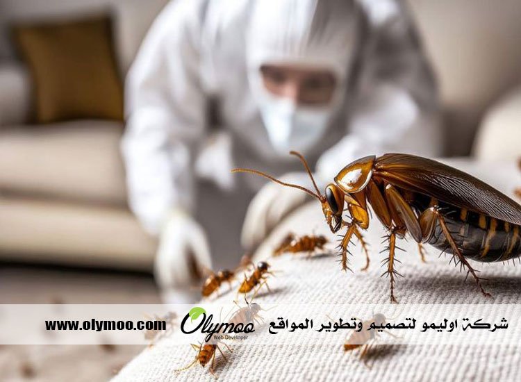 شركة مكافحة الصراصير في دبي شركة مكافحة الصراصير في دبي
